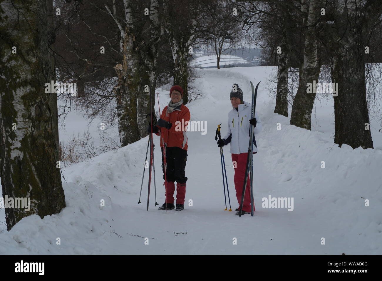 Langlauf in Norwegen, zwei Personen Stockfoto