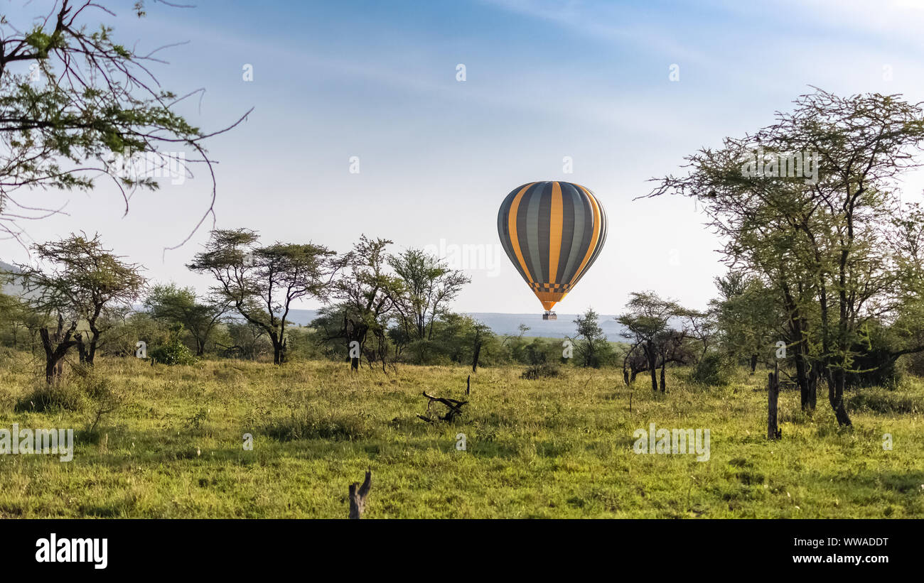 Heißluftballon über der Savanne in der Serengeti in Tansania buchen bei Sonnenaufgang, Afrikanische Panorama Stockfoto