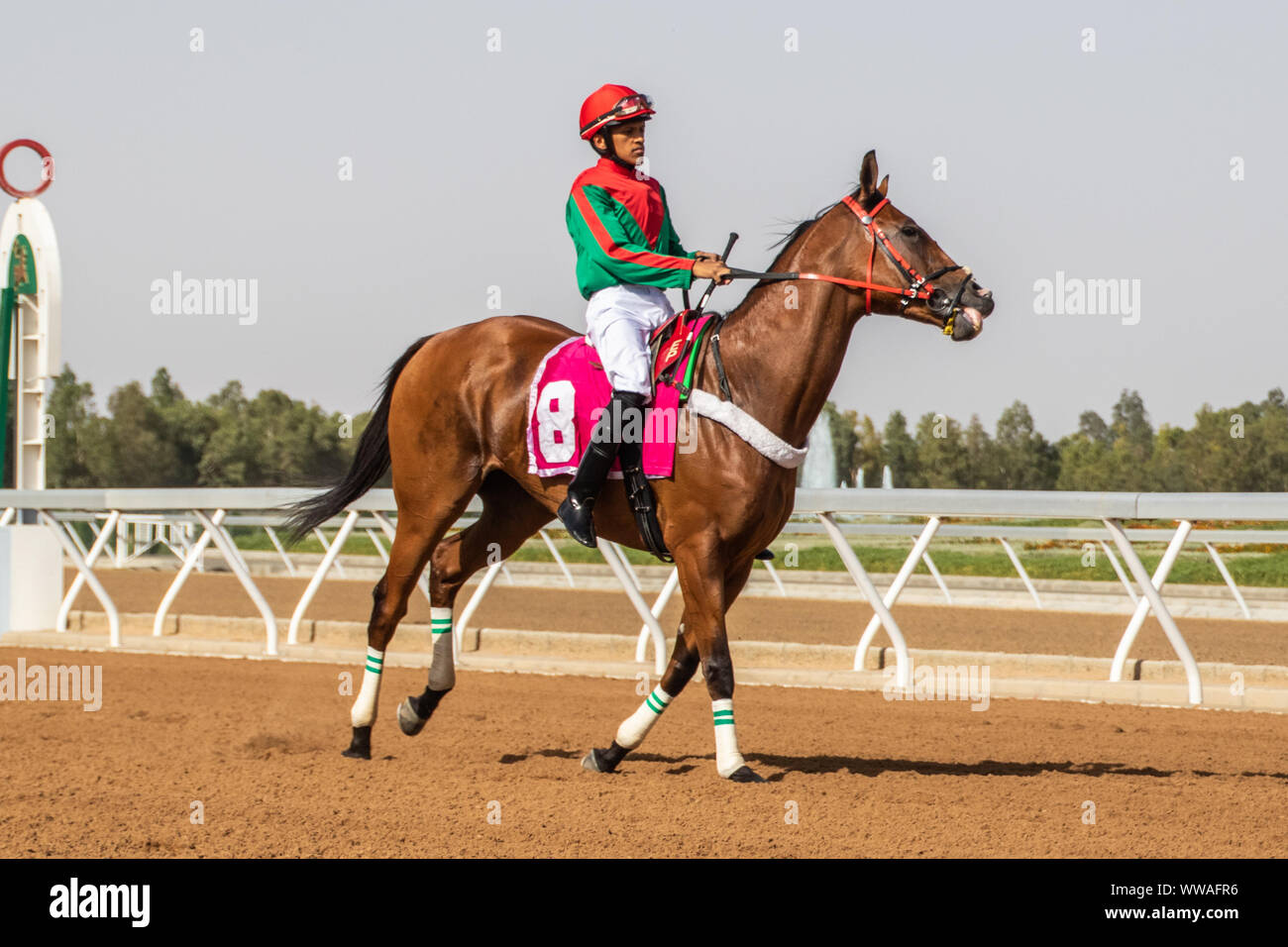 Pferd Racig im King Khalid Rennstrecke, Taif, Saudi-Arabien, 21/06/2019 Stockfoto