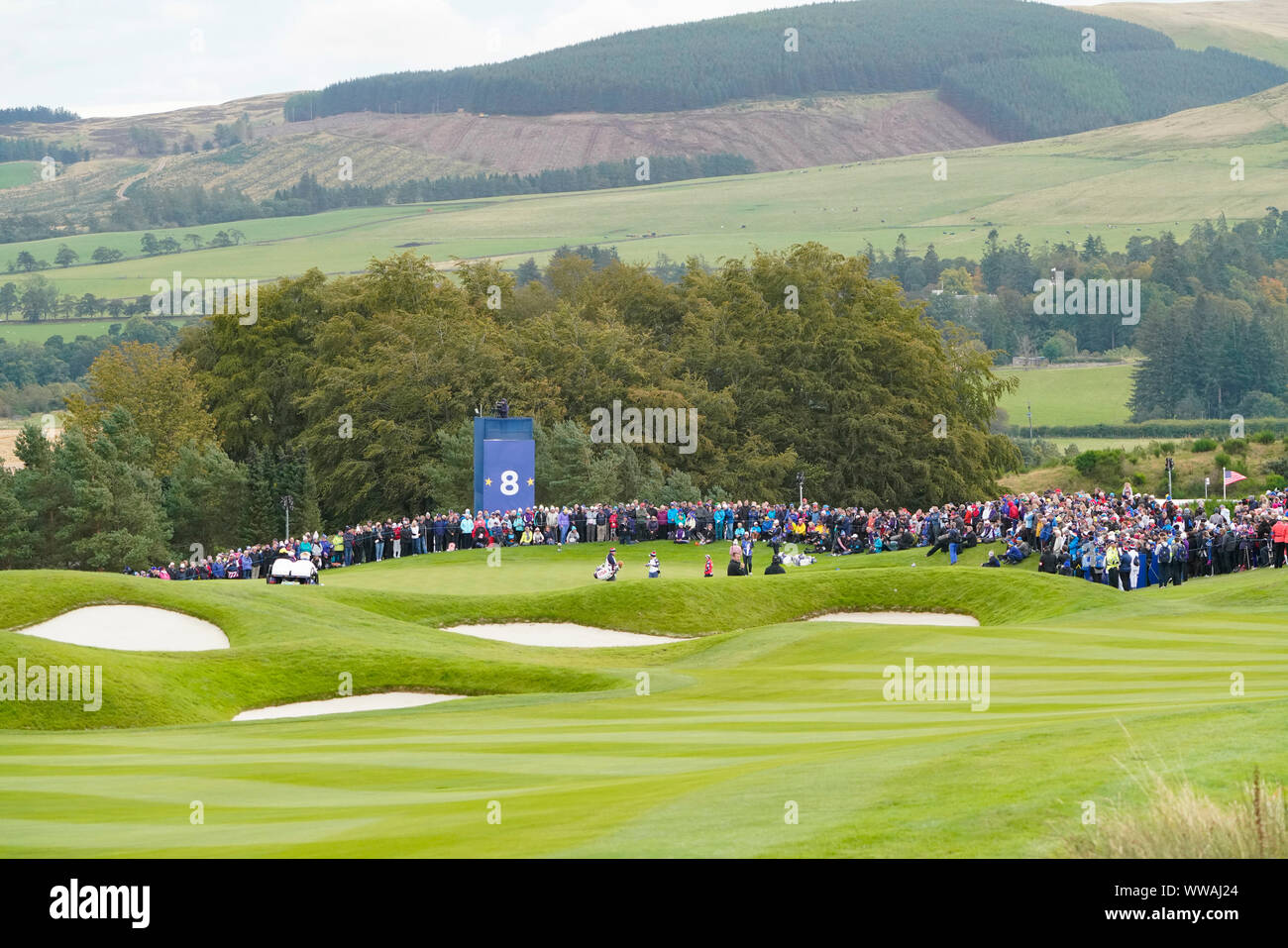 Auchterarder, Schottland, Großbritannien. 14 Sep, 2019. Samstag morgen Foresomes Spiele in 2019 Solheim Cup am hundertjährigen Kurs in Gleneagles. Abgebildet; Blick auf 8. grün mit 1. März zu spielen. Credit: Iain Masterton/Alamy leben Nachrichten Stockfoto