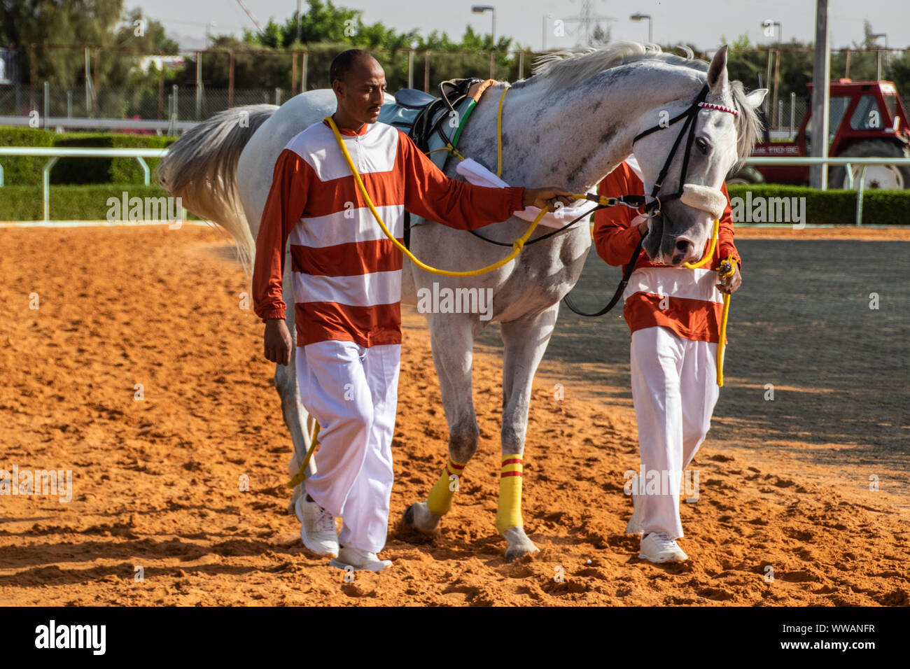 Pferderennen am King Khalid Rennstrecke, Taif, Saudi-Arabien 21/06/2019 Stockfoto