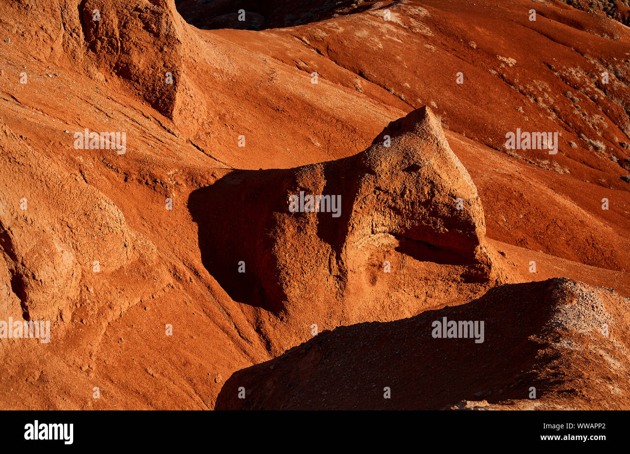 Roter Berg in der Form von Tier in der Wüste Canyon in Kasachstan Stockfoto
