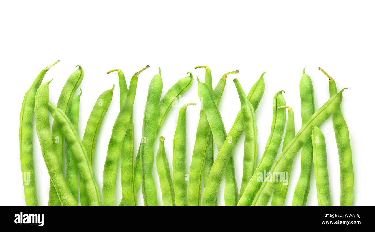 Isolierte grüne Bohnen. Raw schnittbohnen in einer Reihe mit Kopie Raum auf weißem Hintergrund mit Freistellungspfad isoliert Stockfoto