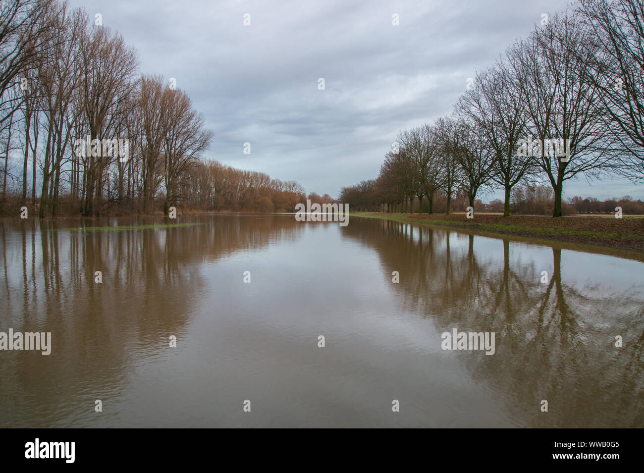 Überfluteten Fluss Aue in der Morgensonne. Der Rhein hat seine Banken übergelaufen. Stockfoto