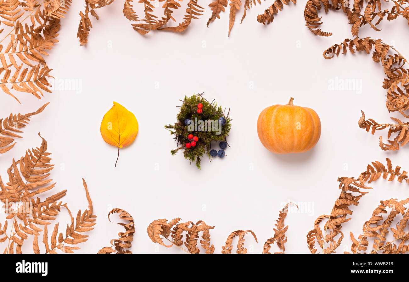 Kreative Zusammensetzung der Herbst Symbole auf weißem Hintergrund Stockfoto