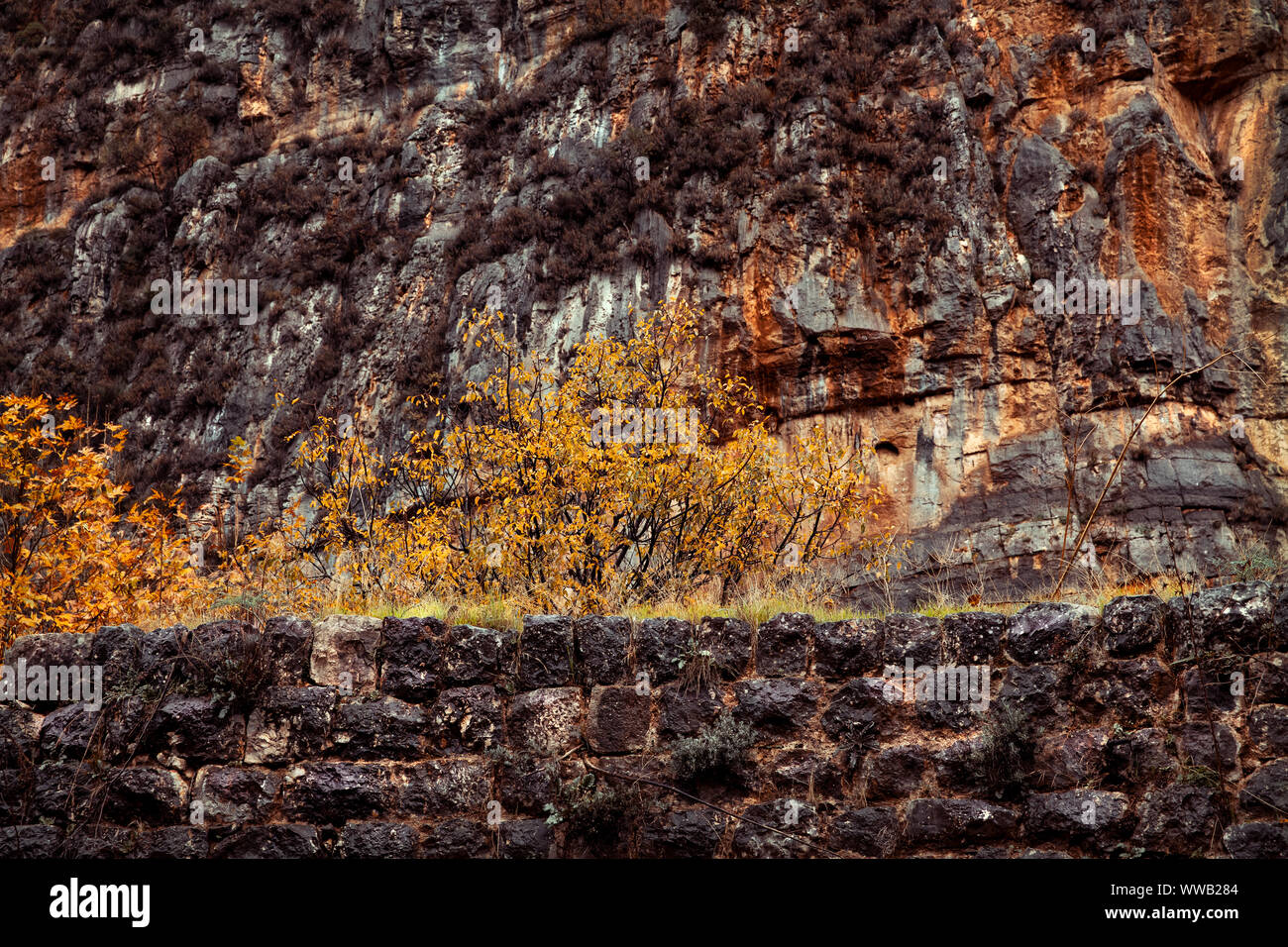 Gebirge mit trockenen Pflanzen bedeckt, abstrakte natürlichen Hintergrund, Herbst Jahreszeit Natur Stockfoto