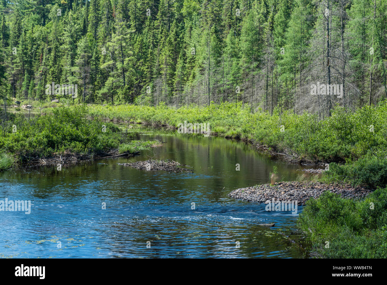 Boreale Landschaft im Sommer - Reflexionen im Zentrum Creek, Cartier, Ontario, Kanada Stockfoto