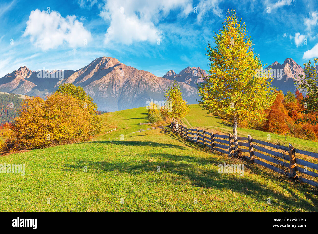 Composite ländlichen Gebiet in Hohe Tatra. schöne Herbstwetter an einem sonnigen Tag. Holz Zaun entlang der Land Straße bergauf. Bäume im Herbst Folia Stockfoto