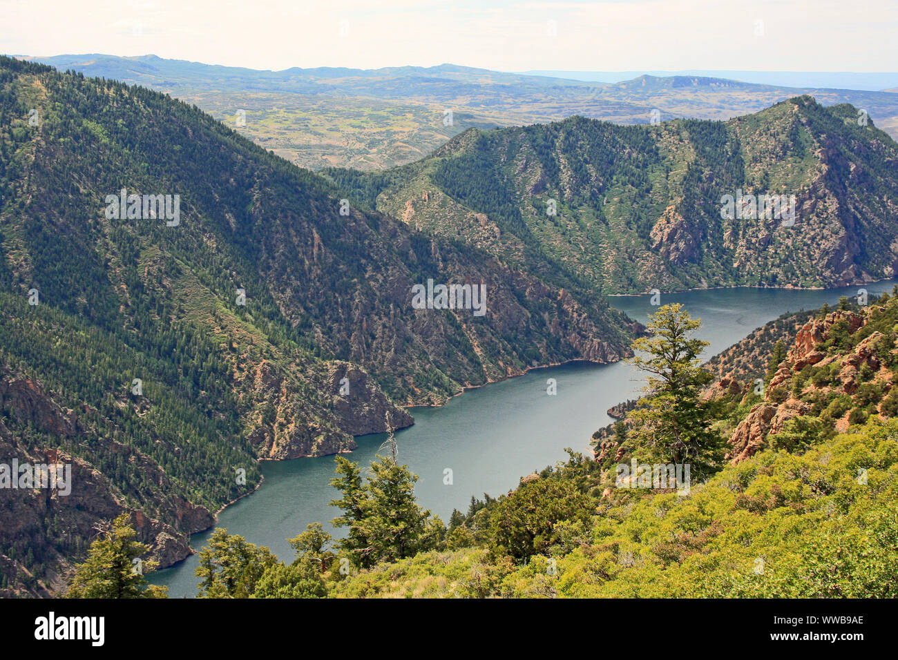 Gunnison River, CO Stockfoto