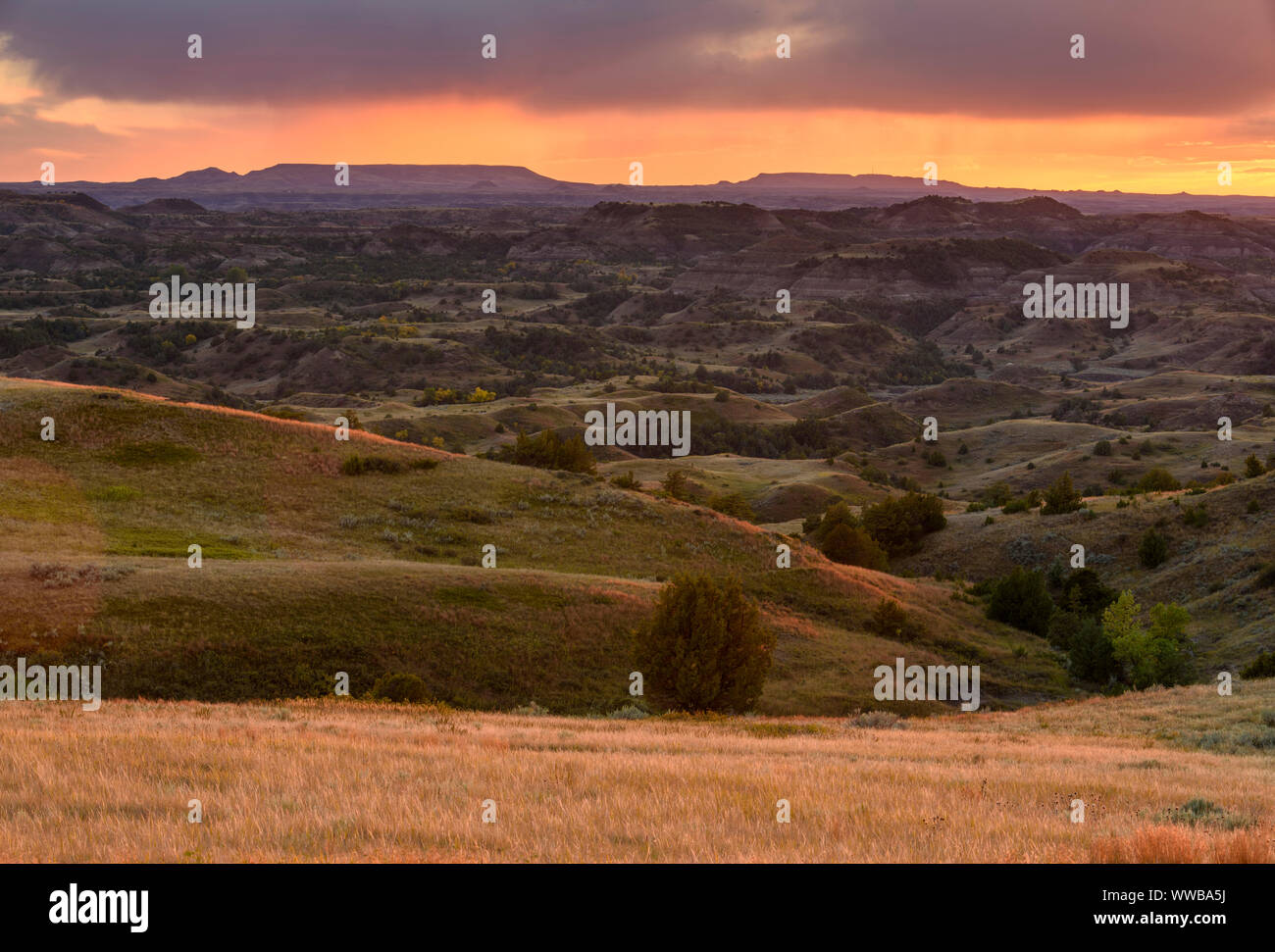 Sonnenuntergang Himmel über den Badlands von Buck Hill, Theodore Roosevelt National Park (Südafrika), North Dakota, USA Stockfoto