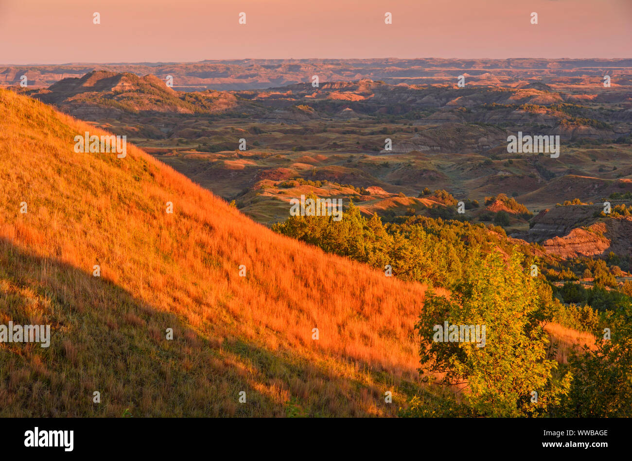 Die Badlands im Spätsommer, von Buck Hill, Theodore Roosevelt National Park (Südafrika), North Dakota, USA Stockfoto