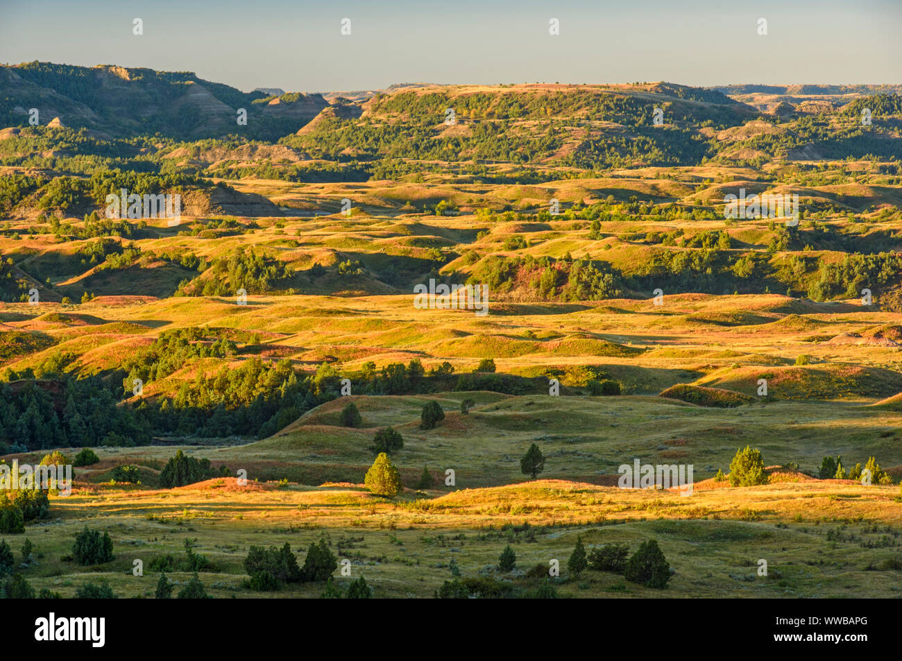 Die Badlands im Spätsommer, von Buck Hill, Theodore Roosevelt National Park (Südafrika), North Dakota, USA Stockfoto