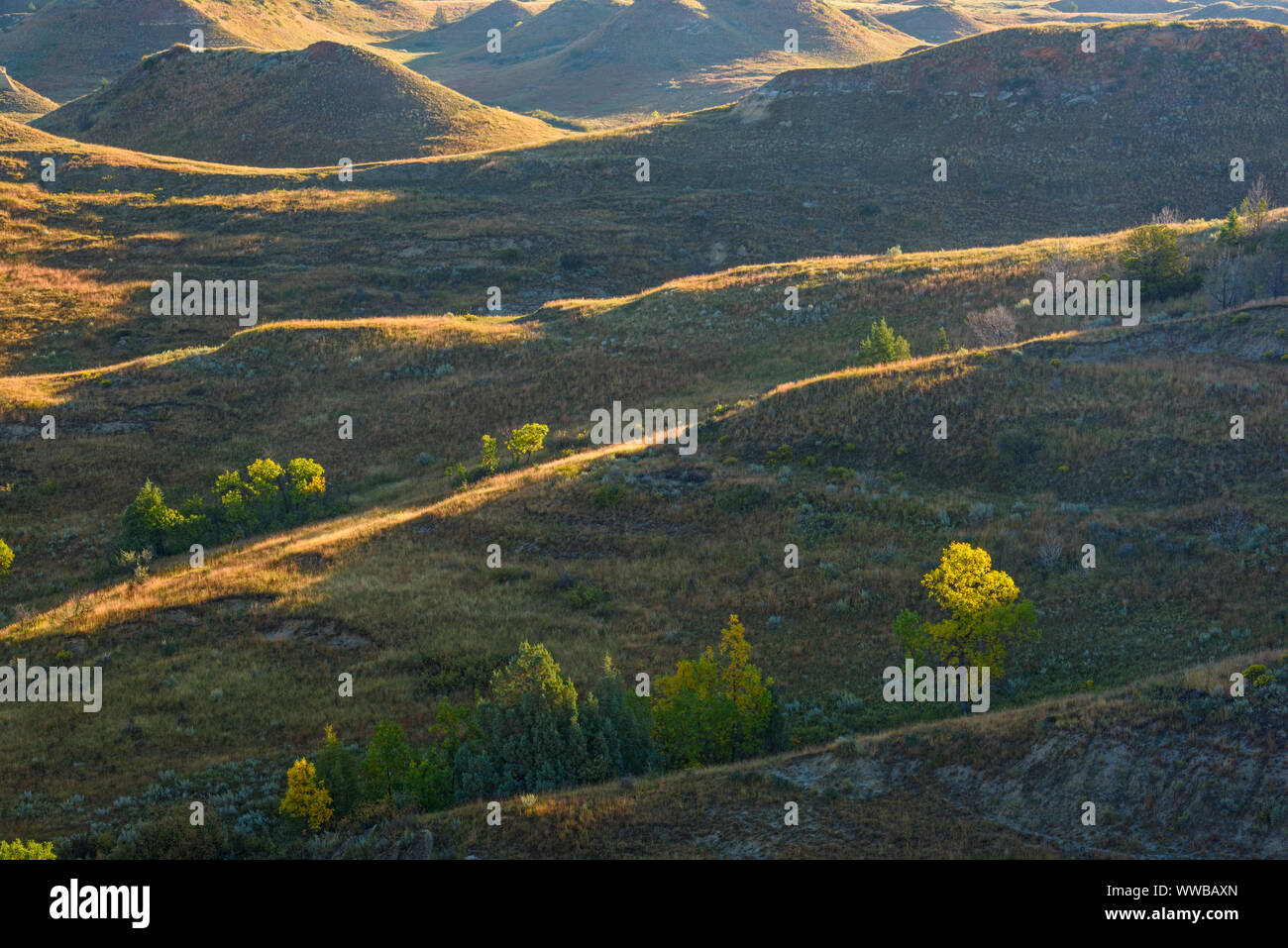 Prairie badlands Pisten im Spätsommer, Theodore Roosevelt National Park (Südafrika), North Dakota, USA Stockfoto