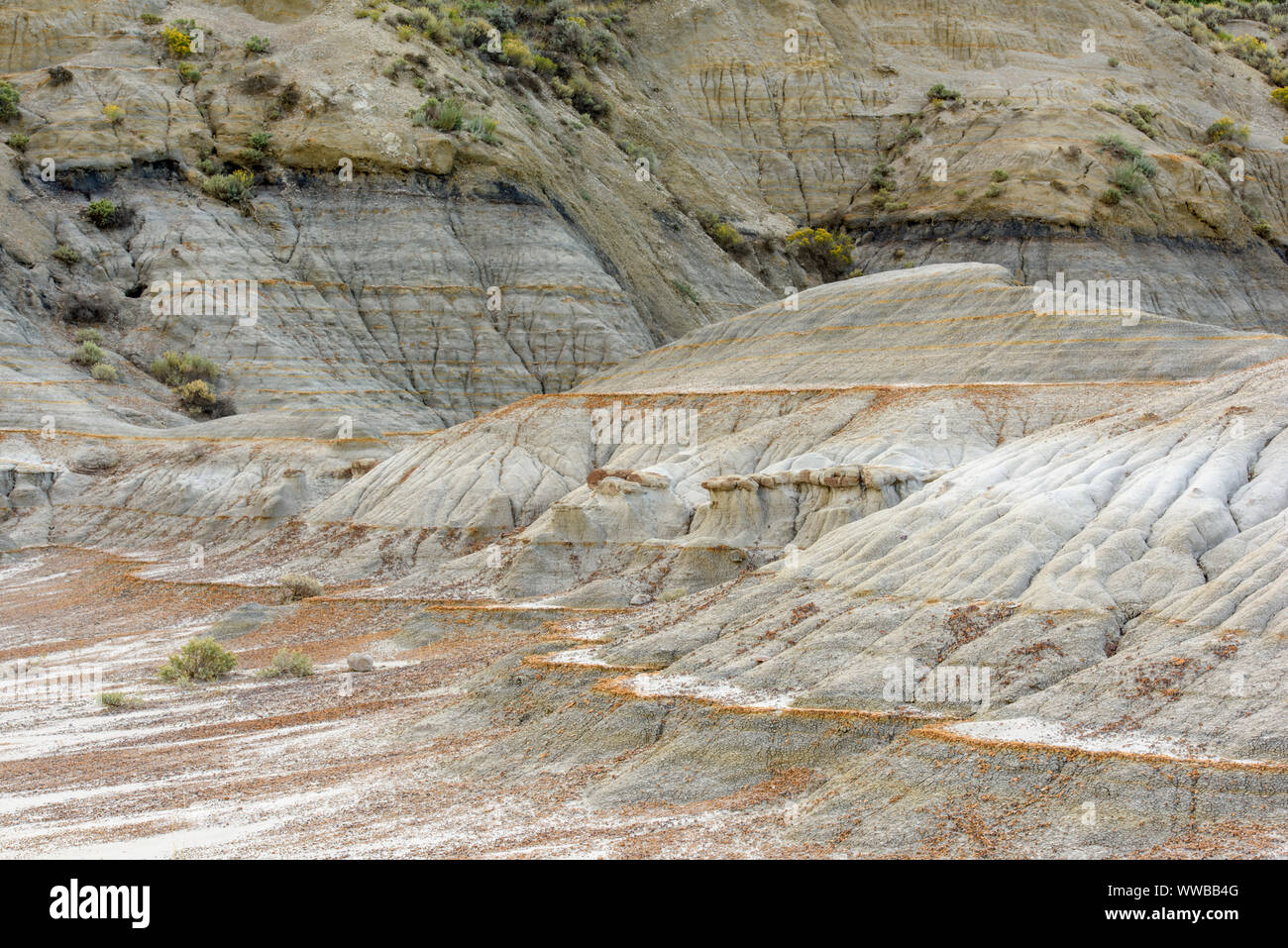Erodiert Bentonit badlands Funktionen, Theodore Roosevelt National Park (Südafrika), North Dakota, USA Stockfoto