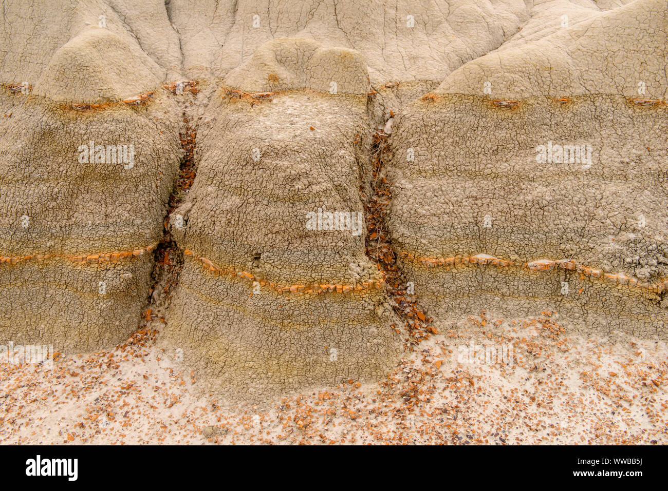 Erodiert Bentonit badlands Funktionen, Theodore Roosevelt National Park (Südafrika), North Dakota, USA Stockfoto