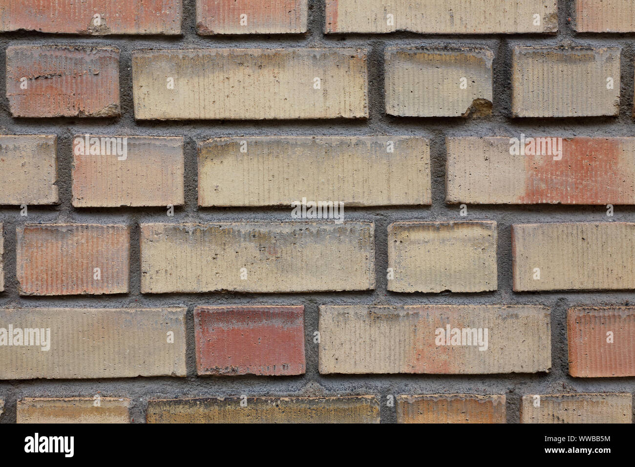 In der Nähe einer gelben Wand. Stockfoto