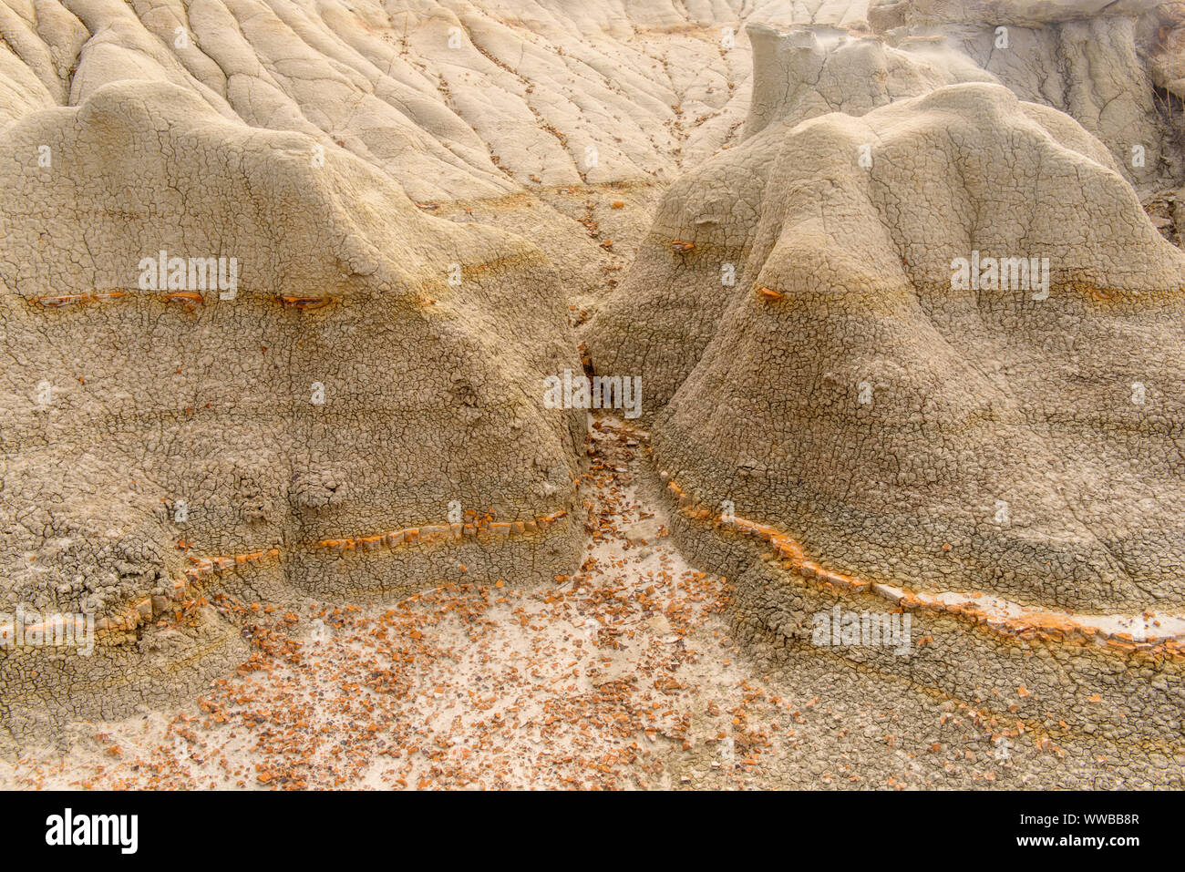Erodiert Bentonit badlands Funktionen, Theodore Roosevelt National Park (Südafrika), North Dakota, USA Stockfoto