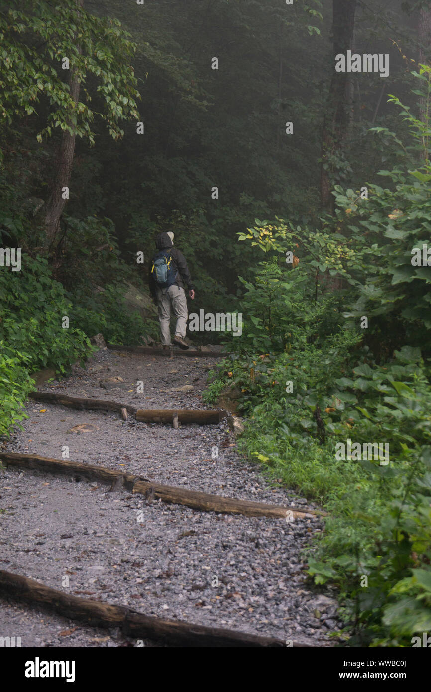 Wanderer auf der Chimney Rock Wanderweg aus der Blue Ridge Parkway in North Carolina. Stockfoto