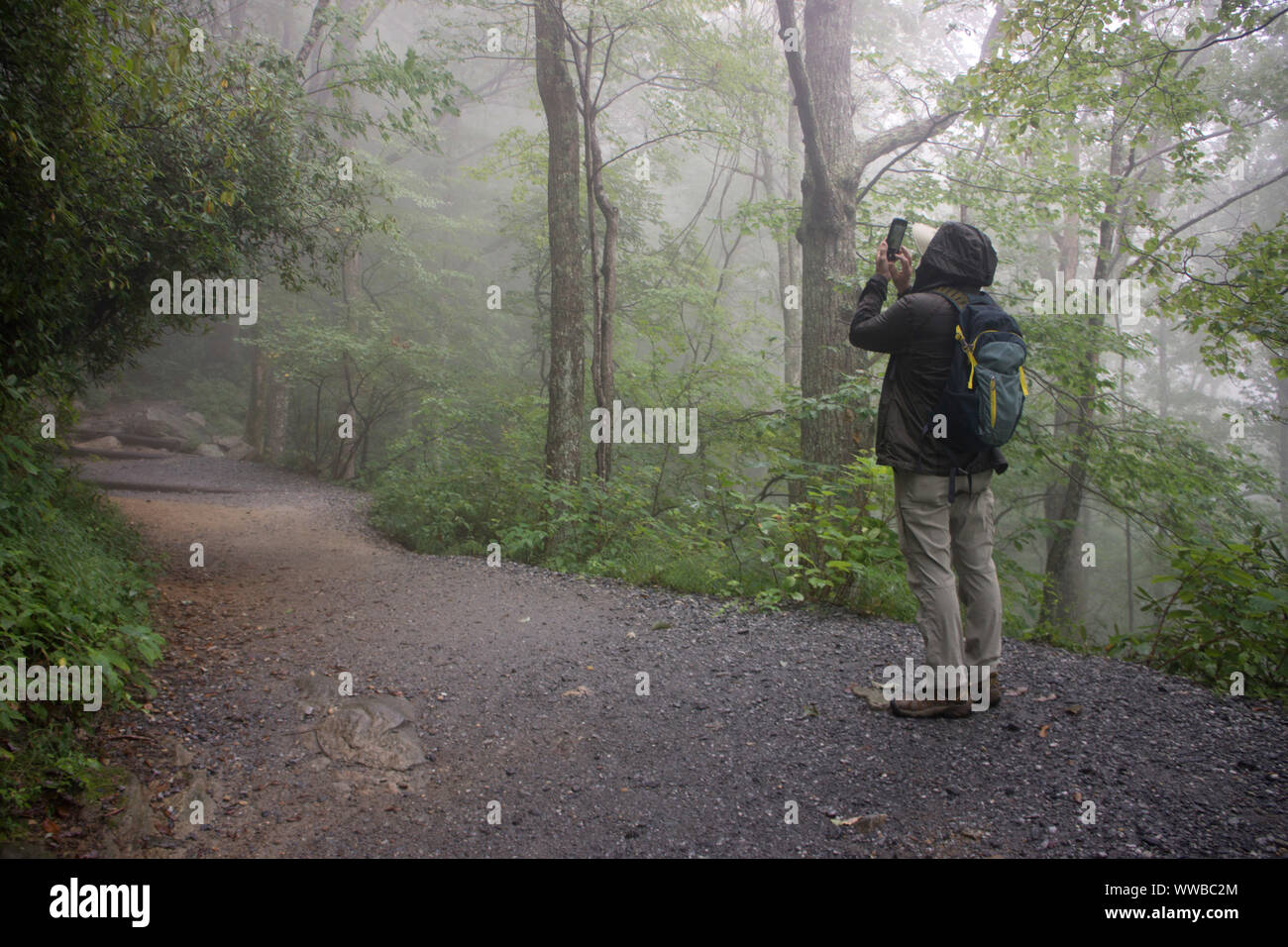 Wanderer auf der Chimney Rock Wanderweg aus der Blue Ridge Parkway in North Carolina. Stockfoto