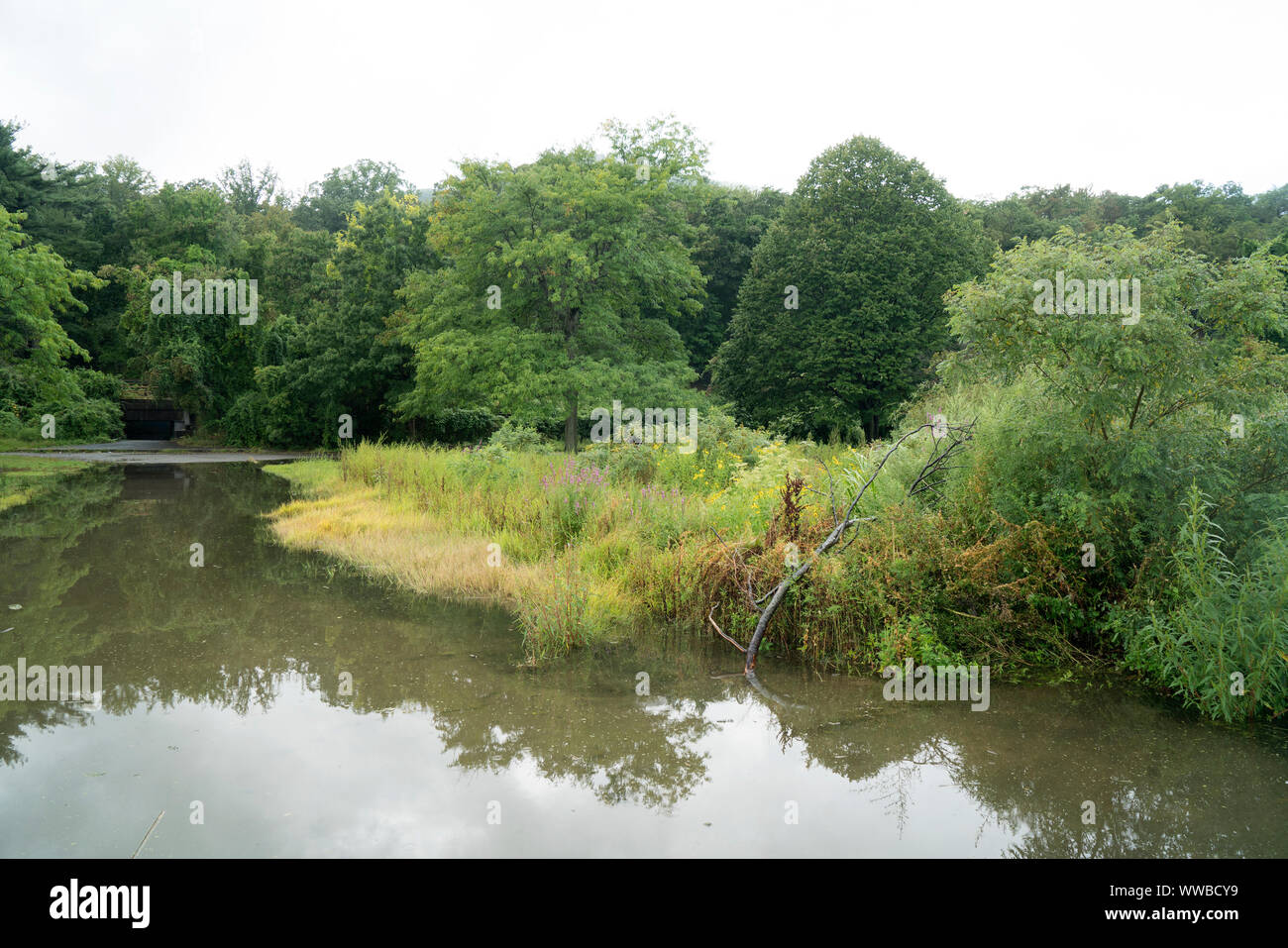 Bear Mountain State Park im Hudson Highlands des Staates New York an einem regnerischen Tag Anfang September. Die 5,205 Hektar großen Park im Juni 1913 eröffnet. Stockfoto