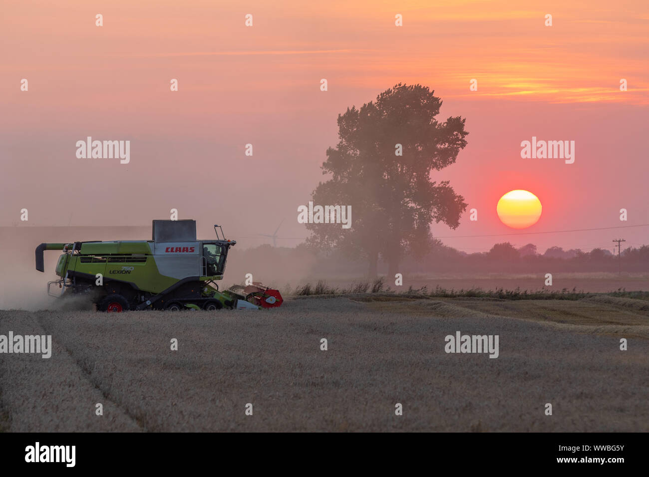 Claas Lexion 750 TT Mähdrescher arbeiten bei Sonnenuntergang Stockfoto