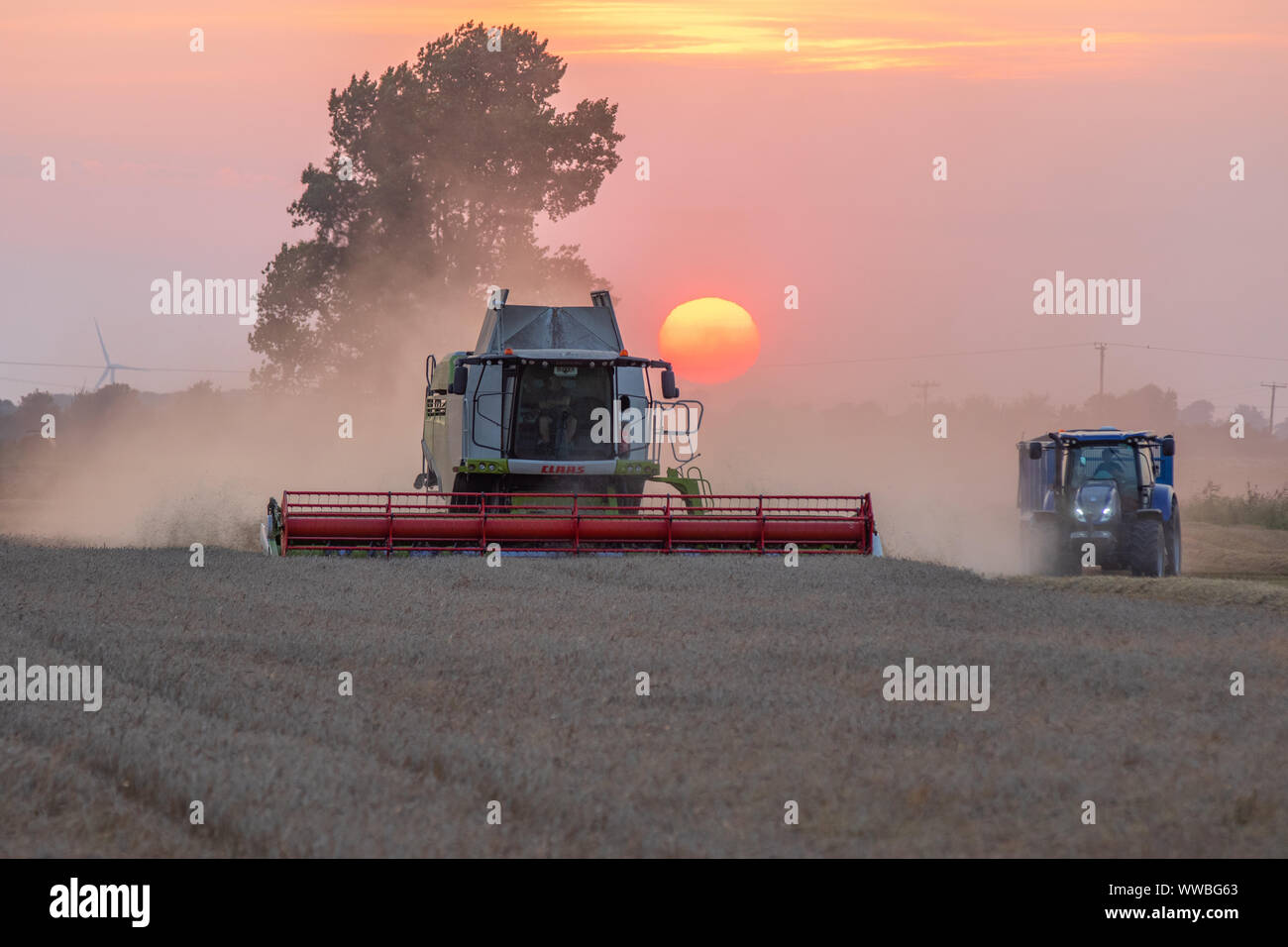 Claas Lexion 750 TT Mähdrescher arbeiten bei Sonnenuntergang Stockfoto