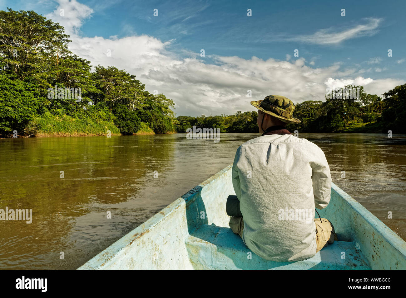 Costa Rica Landschaft von Boca Tapada, Rio San Carlos. Riverside mit Wiesen und Kühen, tropischen bewölkt Wald im Hintergrund. Blick vom Boot aus. Stockfoto