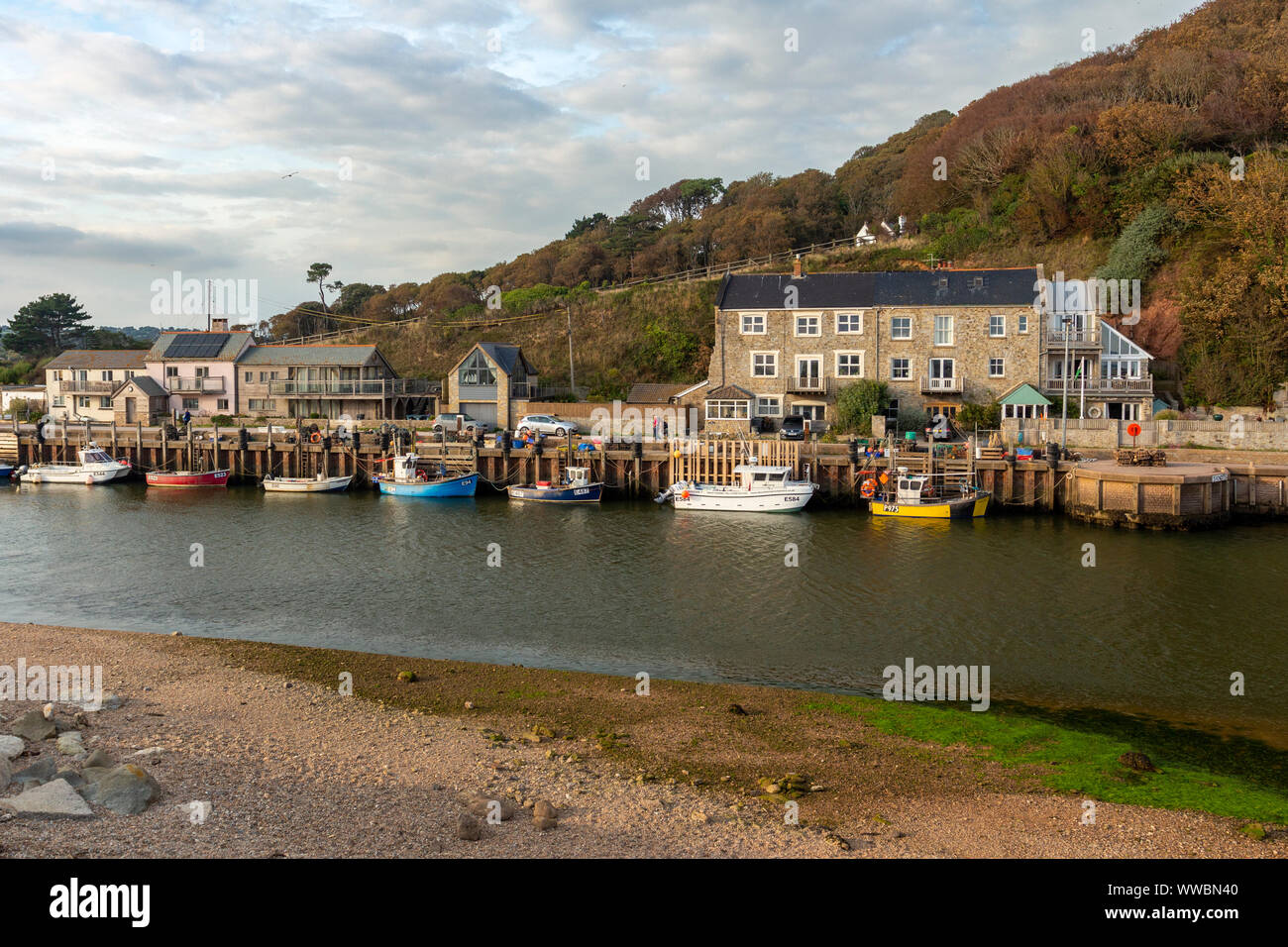 Hafen, Axmouth Seaton, Devon, Großbritannien Stockfoto