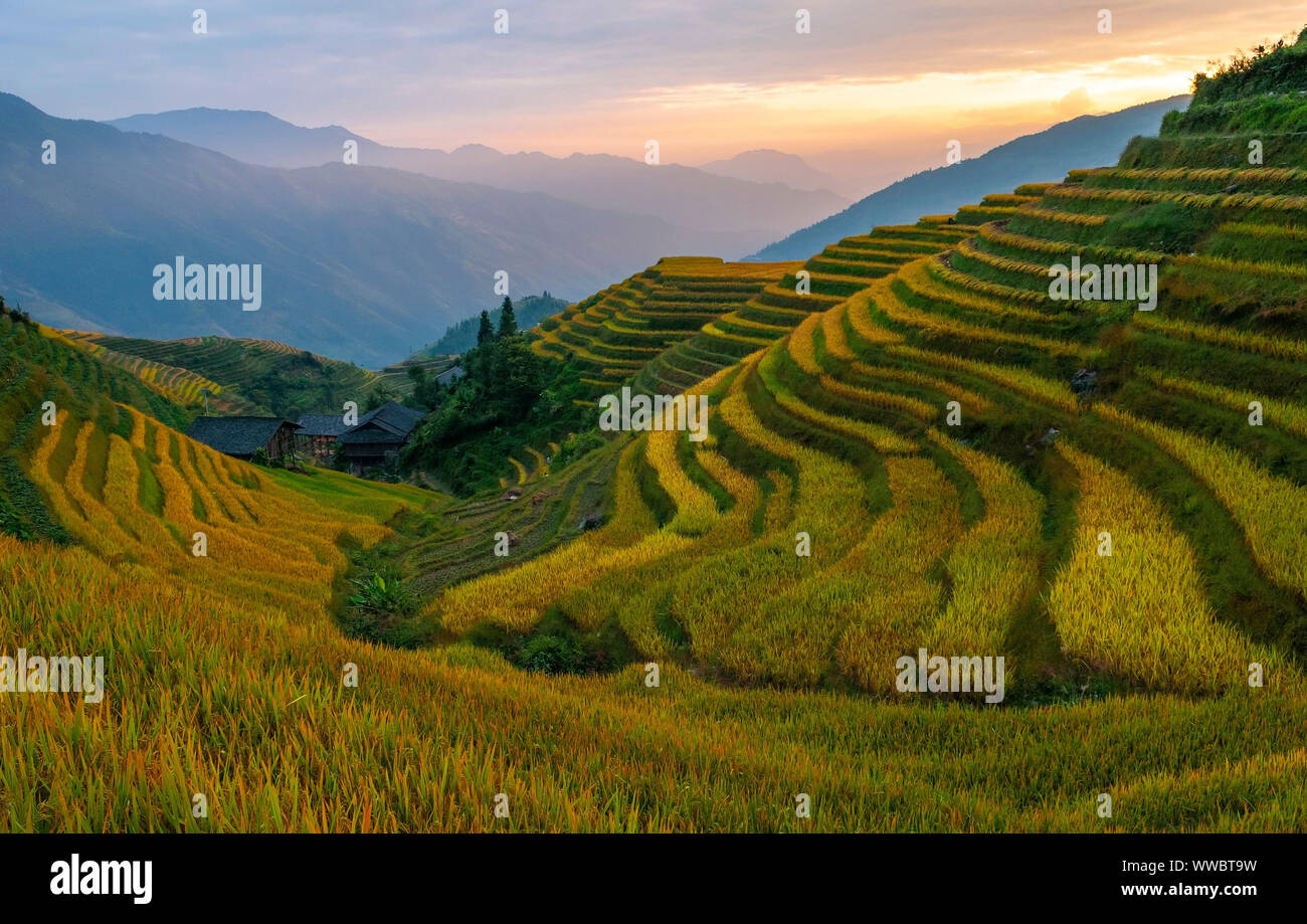 Sonnenuntergang in den Reisterrassen von Ping ein Dorf, Longheng County, Guangxi Province, China. Stockfoto