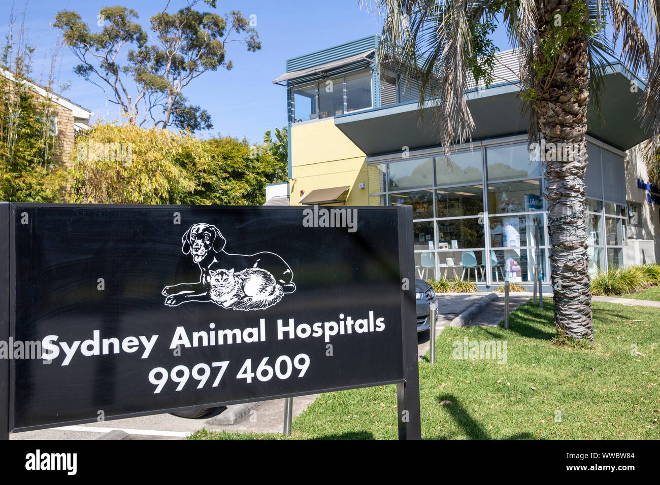 Sydney Animal Hospital und Berufsbildung in Newport Beach, Sydney, Australien Stockfoto