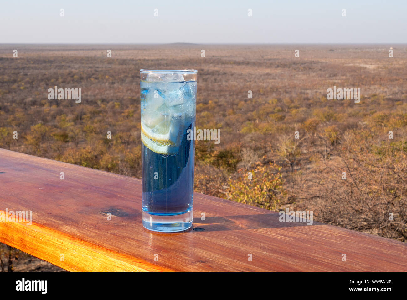 Blau Longdrink Gin und Tonic mit Zitrone auf Terrasse mit afrikanischen Landschaft in der Nähe von Etosha Nationalpark Stockfoto