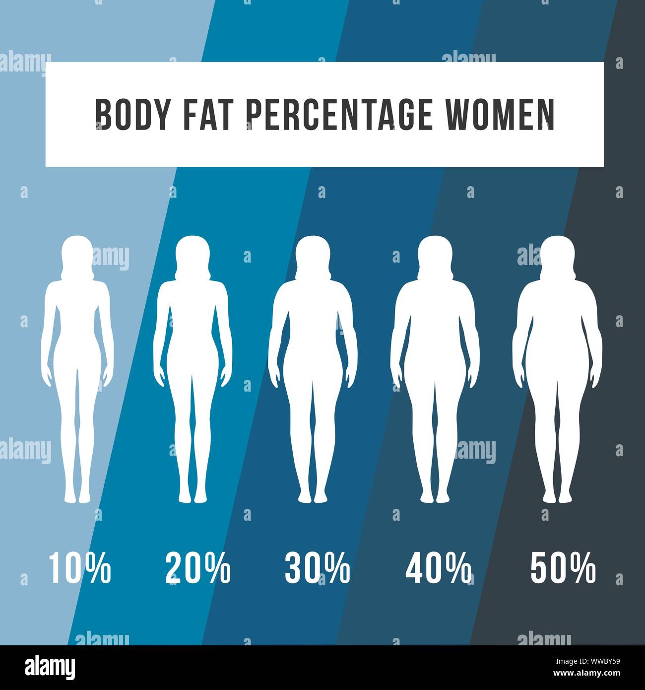 Körperfettanteil Frauen Bilder: Entdecke die Schönheit deiner individuellen Form