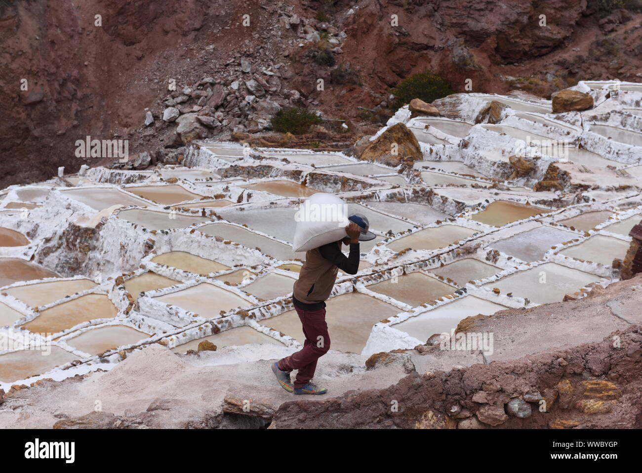 Ein Arbeitnehmer gesehen schleppen Salz bei Salineras de Maras. Der Salineras de Maras an den Hängen des Qaqawiñay Berg liegt auf einer Höhe von 3.380 m im urumbamba Tal, in der Nähe der Stadt von Maras. Es ist mit mehr als 3 Tausend natürlichen Salz Brunnen gemacht. Jedem der Brunnen hat eine Größe von 5 Quadratmetern. Die 3.000 Pools sind durch einen unterirdischen hypersaline Feder, die rund 110 Millionen Jahren bei der Entstehung der Anden entstanden zugeführt. Die meisten der Dorfbewohner von Maras Arbeit hier. Stockfoto