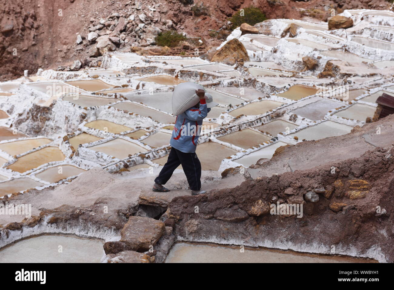 Ein Arbeitnehmer gesehen schleppen Salz bei Salineras de Maras. Der Salineras de Maras an den Hängen des Qaqawiñay Berg liegt auf einer Höhe von 3.380 m im urumbamba Tal, in der Nähe der Stadt von Maras. Es ist mit mehr als 3 Tausend natürlichen Salz Brunnen gemacht. Jedem der Brunnen hat eine Größe von 5 Quadratmetern. Die 3.000 Pools sind durch einen unterirdischen hypersaline Feder, die rund 110 Millionen Jahren bei der Entstehung der Anden entstanden zugeführt. Die meisten der Dorfbewohner von Maras Arbeit hier. Stockfoto