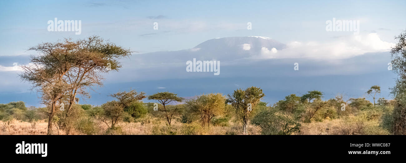 Blick auf den Kilimandjaro Berg in Tansania mit der Savanne, wunderschönes Panorama Stockfoto