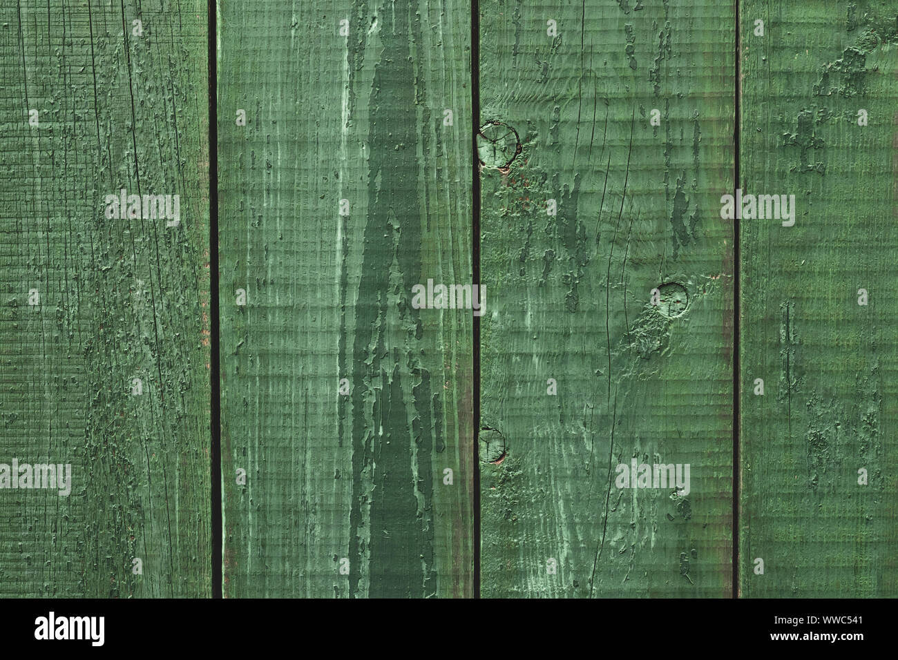 Schäbig Holz Textur. Vintage Holzzaun, Schreibtisch Oberfläche. Natürliche Muster. Verwittertes Holz. Malte Tabelle der Eiche. Schäbig Wood Green Planken. Alte Boards Stockfoto