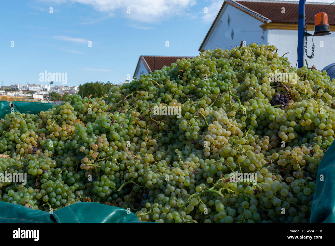 Maria ximenes -Fotos und -Bildmaterial in hoher Auflösung – Alamy