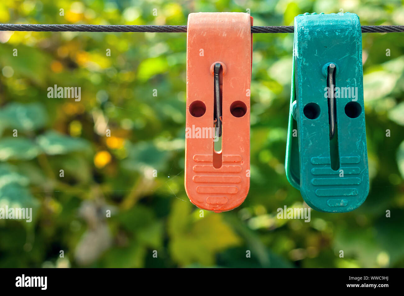 Zwei Kunststoff Wäscheklammern auf Kleidung Linie auf Verschwommene grüne Blätter Hintergrund an einem sonnigen Sommertag. Stockfoto