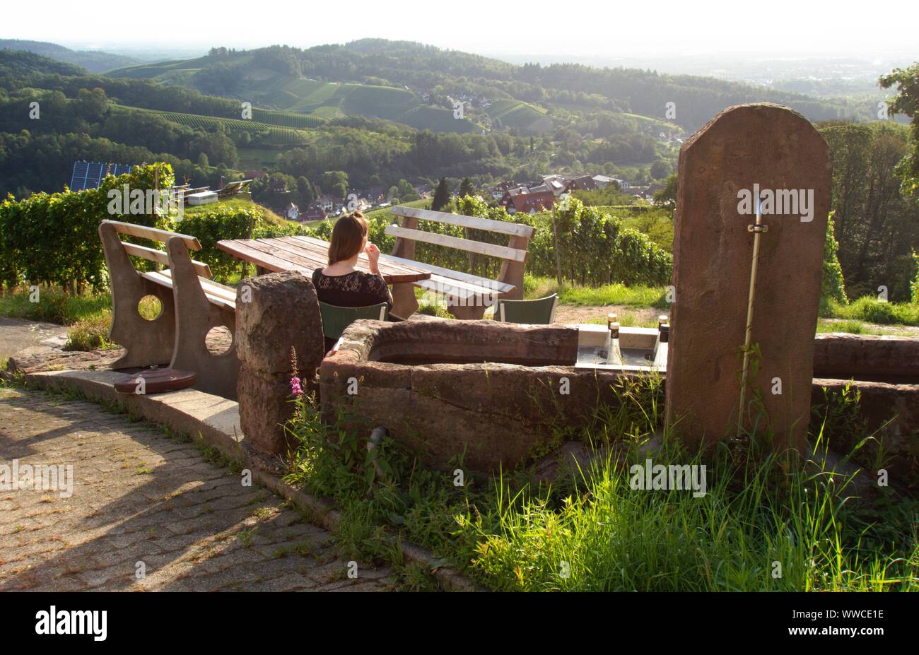 Der Schwarzwald ist eine der schönsten Natur in Deutschland Stockfoto