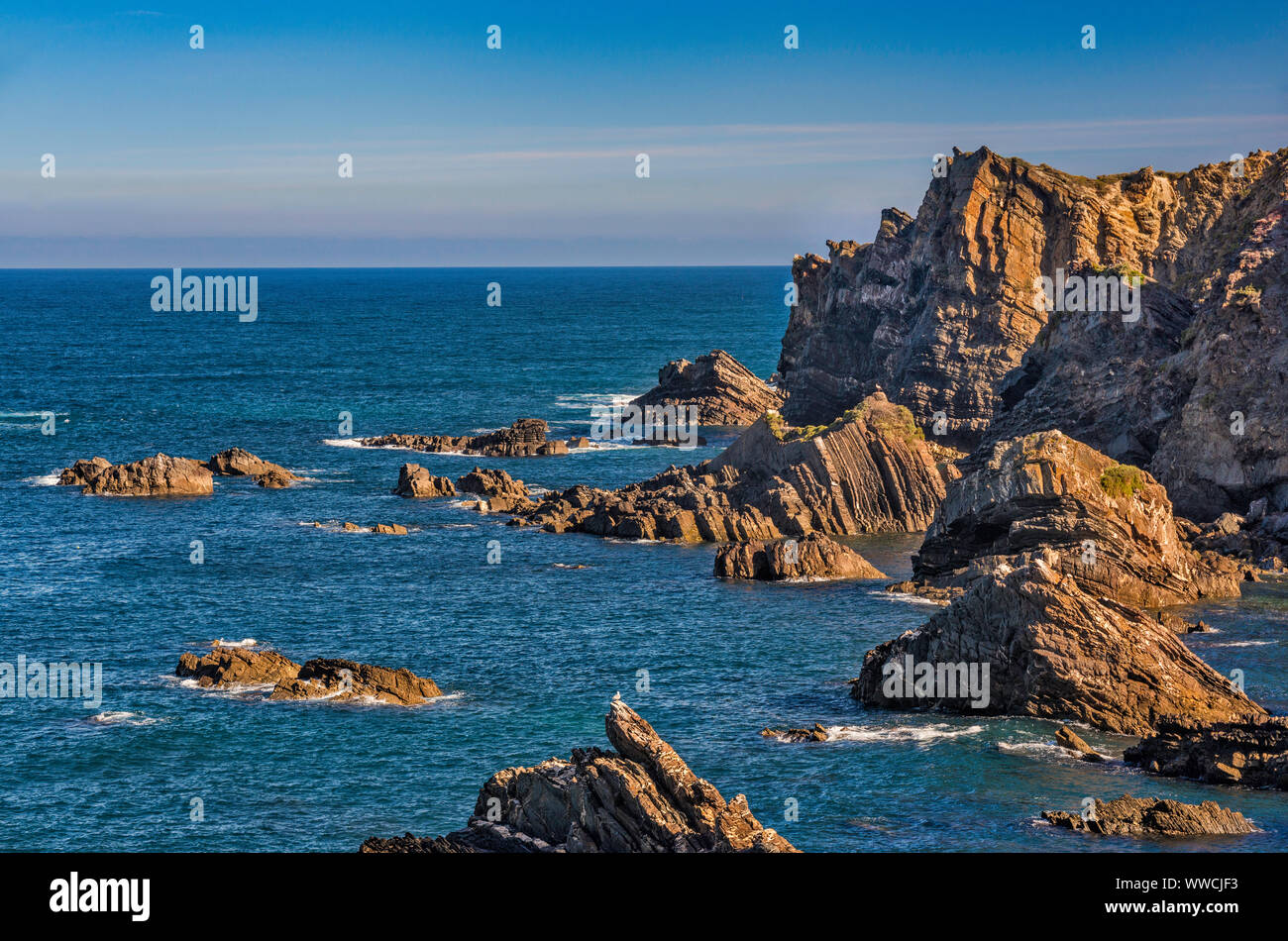 Felsformationen an der Atlantik Küste in der Nähe von Dorf Ple do Mar, Costa Vicentina, Distrikt Beja, Alentejo Litoral Portugal Stockfoto