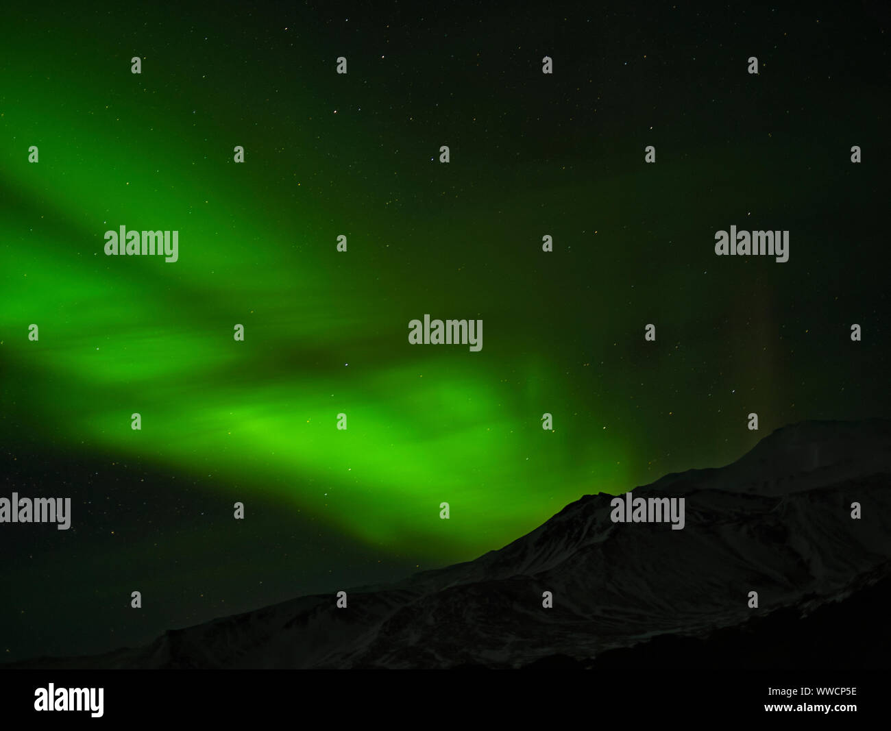 Grüne Nordlichter über einen Gebirgszug in Island im April Stockfoto