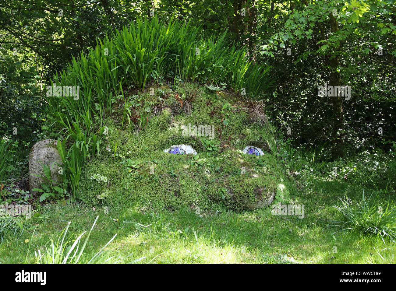 Die riesen Kopf, Verlorenen Gärten von Heligan, Cornwall Stockfoto