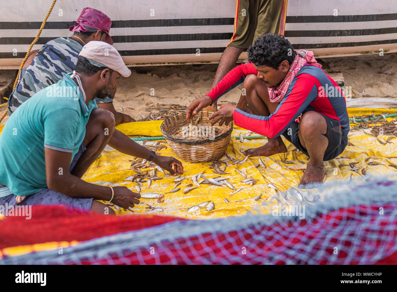 Benaulim, Goa/Indien - Aug 2 2019: lokale Fischer sortieren und den Verkauf der Fang des Tages Stockfoto