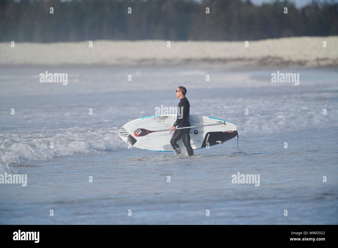 Stand-up paddleboarder trägt die Platine in das Meer, Cherry Hill Beach, Nova Scotia, Kanada Stockfoto