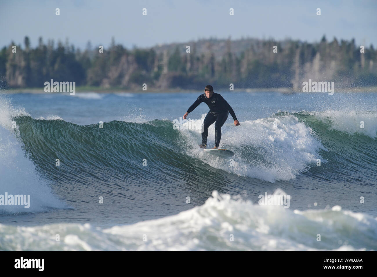 Surfer auf einer Welle, Cherry Hill Beach, Nova Scotia, Kanada Stockfoto