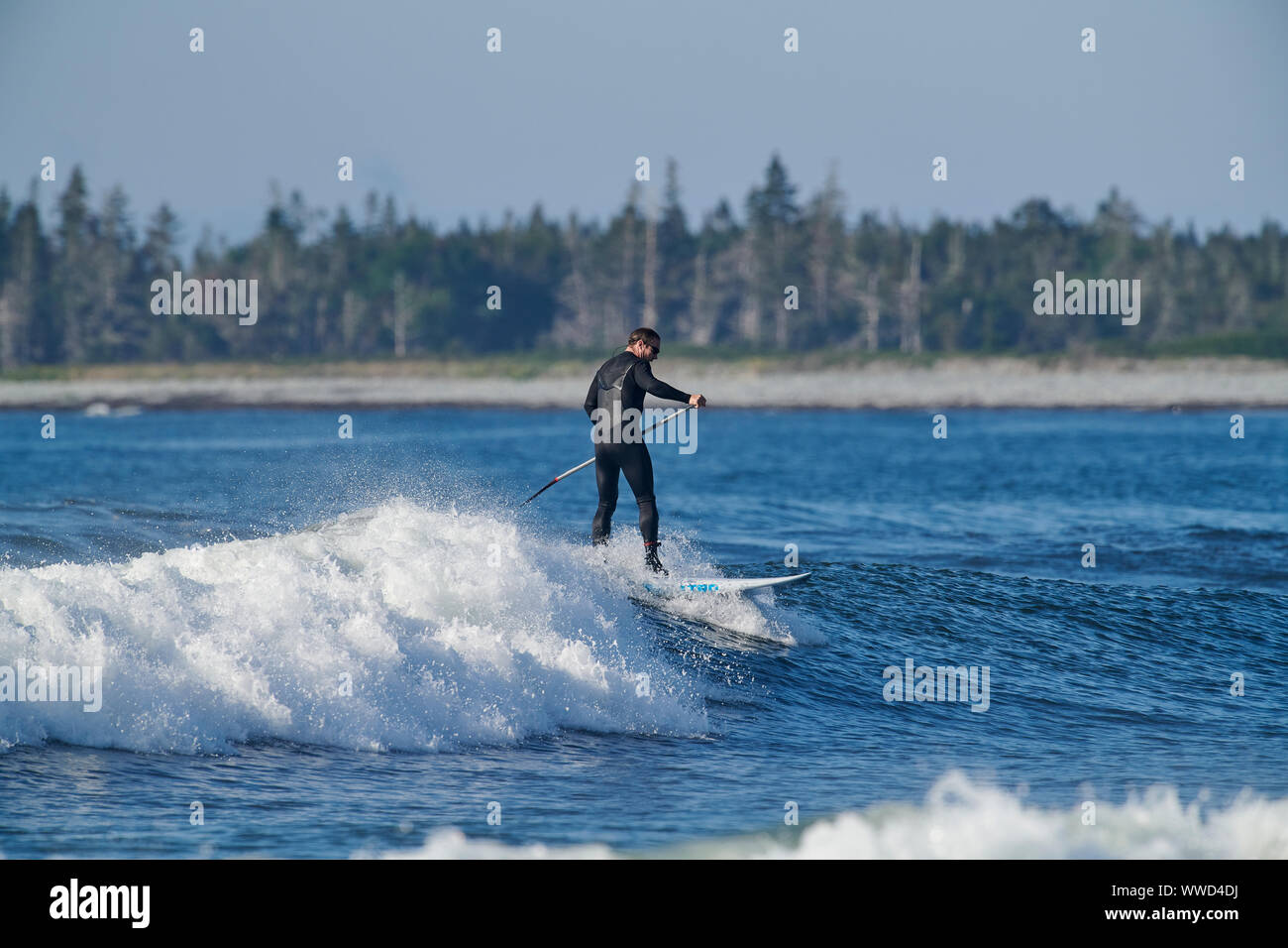 Paddleboarder einer Welle, Cherry Hill Beach, Nova Scotia, Kanada Stockfoto