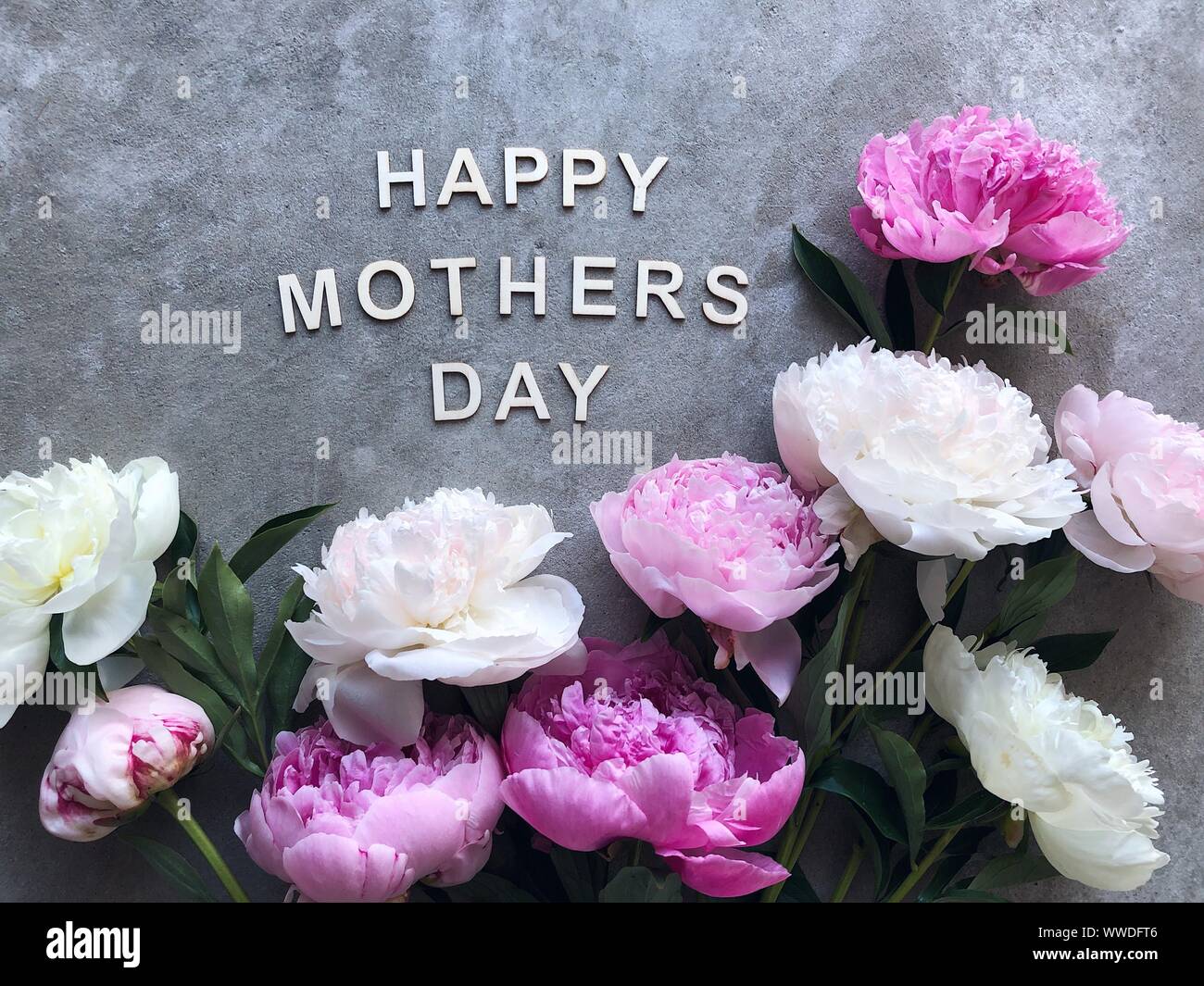 Pfingstrosen auf grauem Hintergrund um das Wort "Glücklich, Mutter Stockfoto