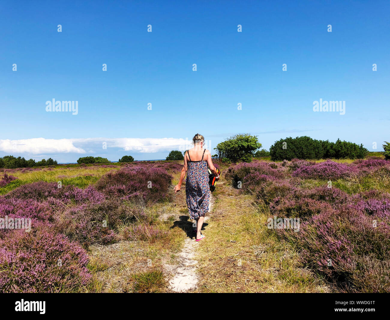 Frau, die ein Handtuch und zu Fuß zum Strand, Samsö, Dänemark Stockfoto