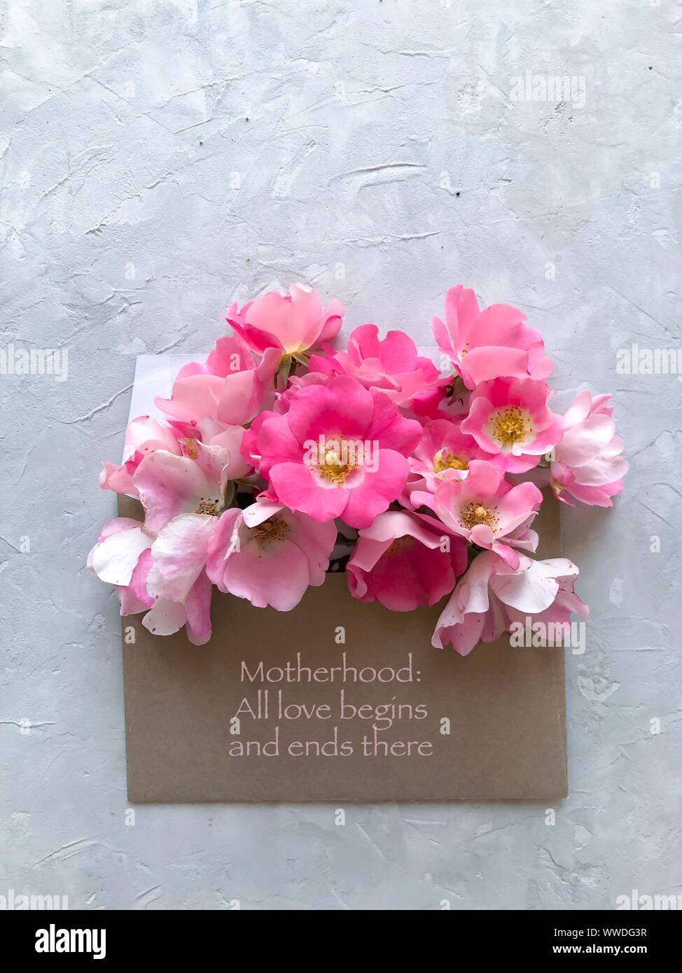 Rosa Blumen in einem Umschlag mit der Aufschrift Mutterschaft: Alle Liebe beginnt und endet dort Stockfoto