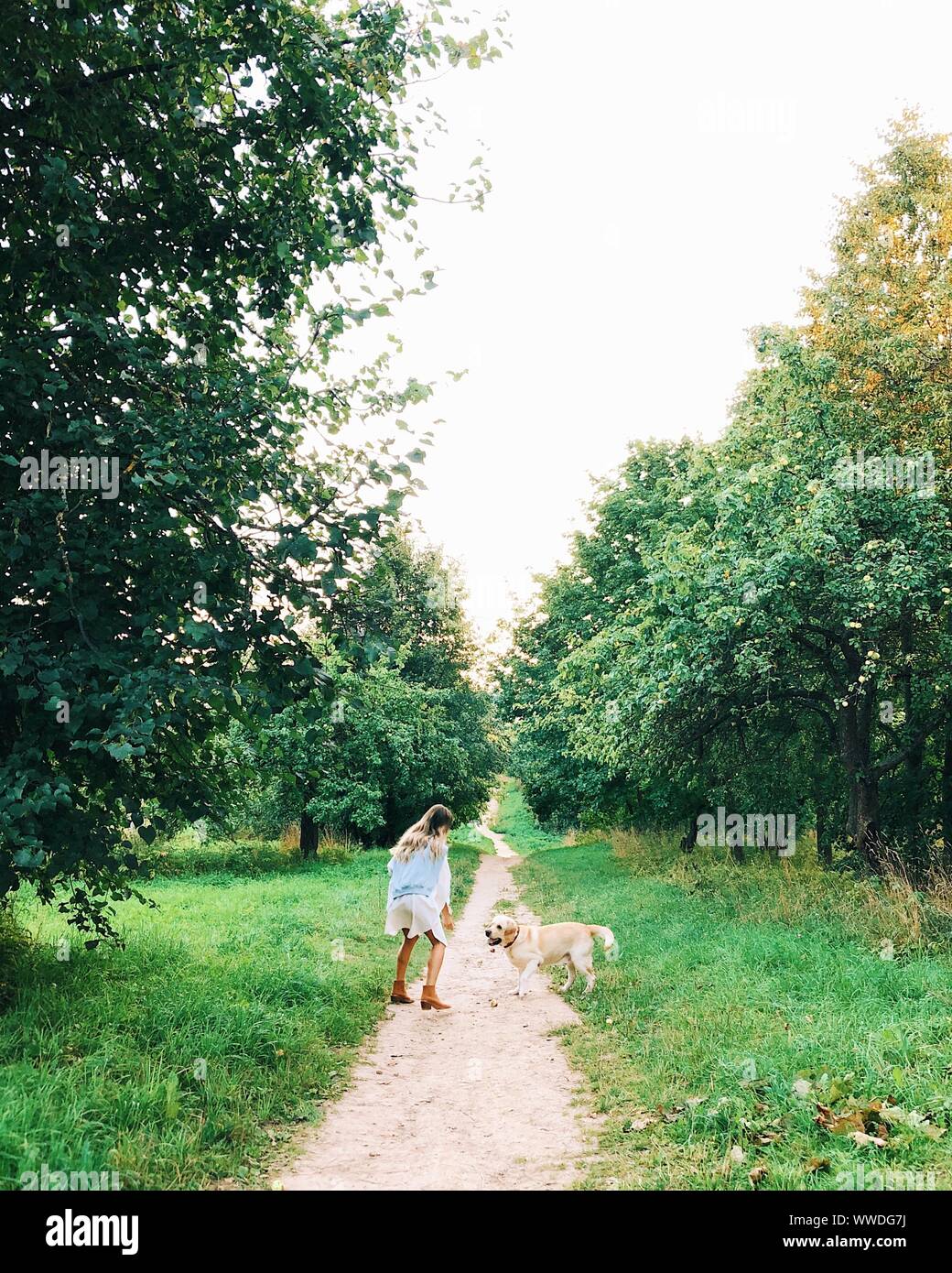 Frau das Spielen mit Ihrem Hund auf einem morgendlichen Spaziergang, Weißrussland Stockfoto